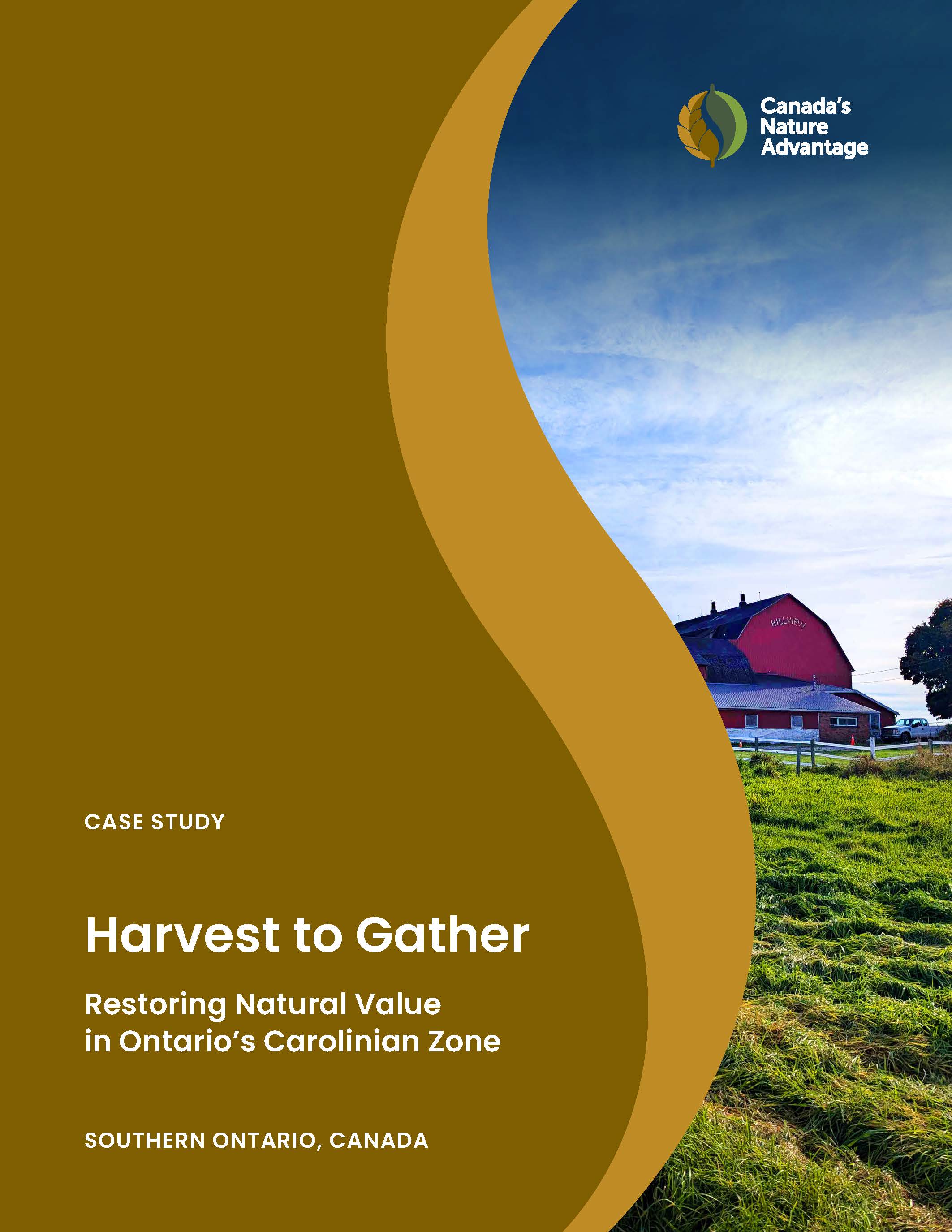 CNA Case Study Harvest To Gather