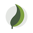Icon green leaf.