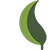 Leaf icon.